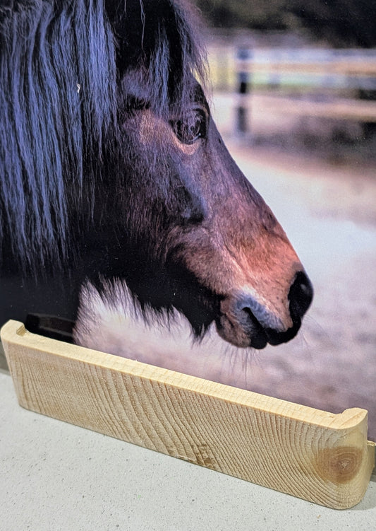 Design Fotohalter Zirbe, Zirbenholz